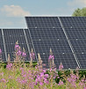 solar panels in a field 